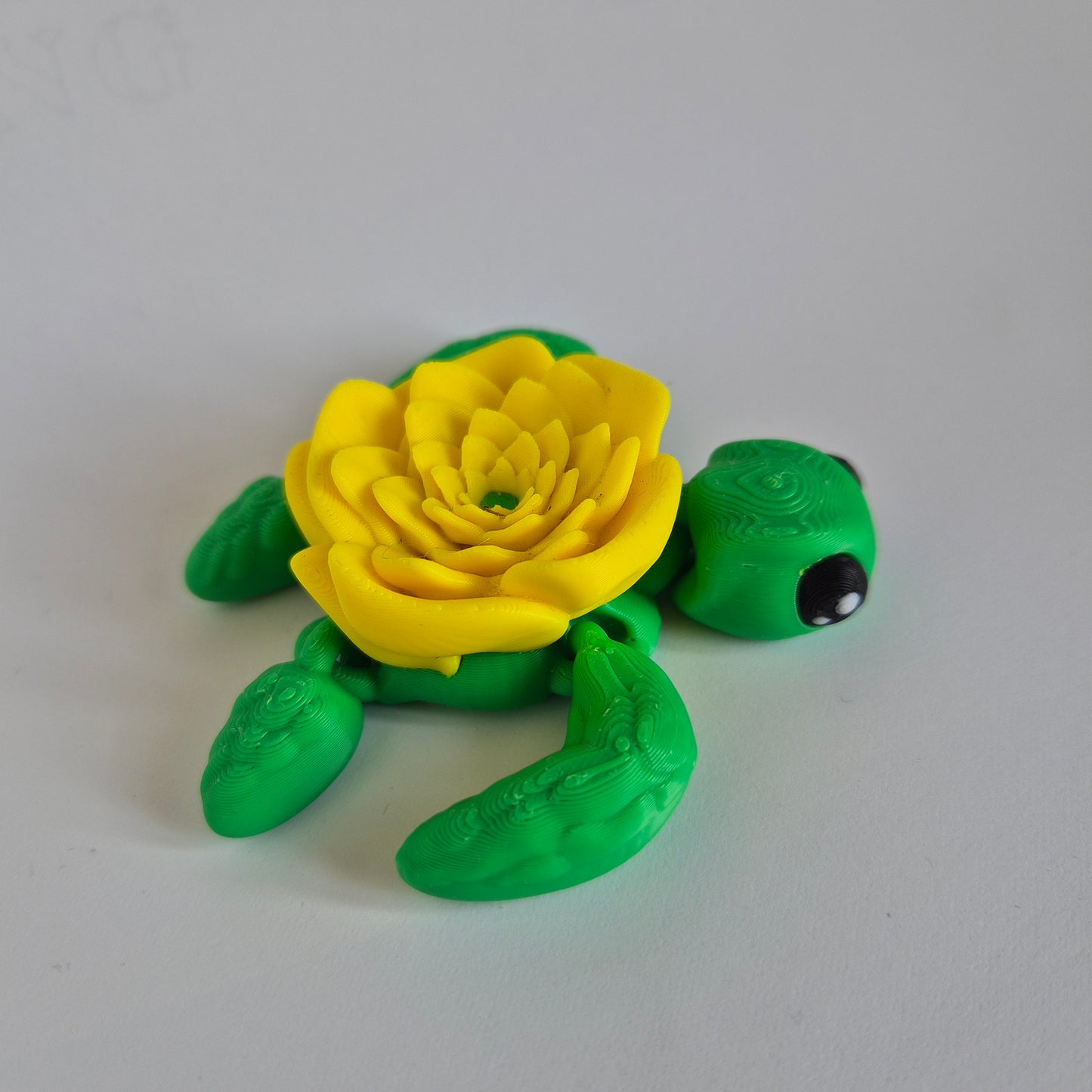 Touta la tortue