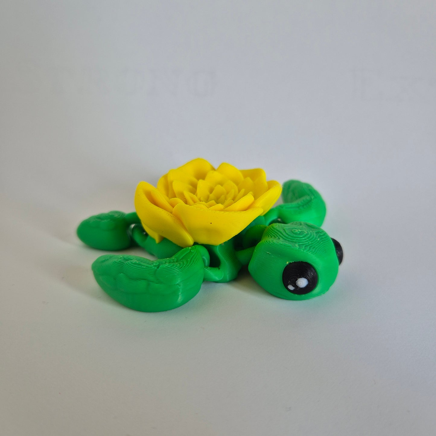 Touta la tortue