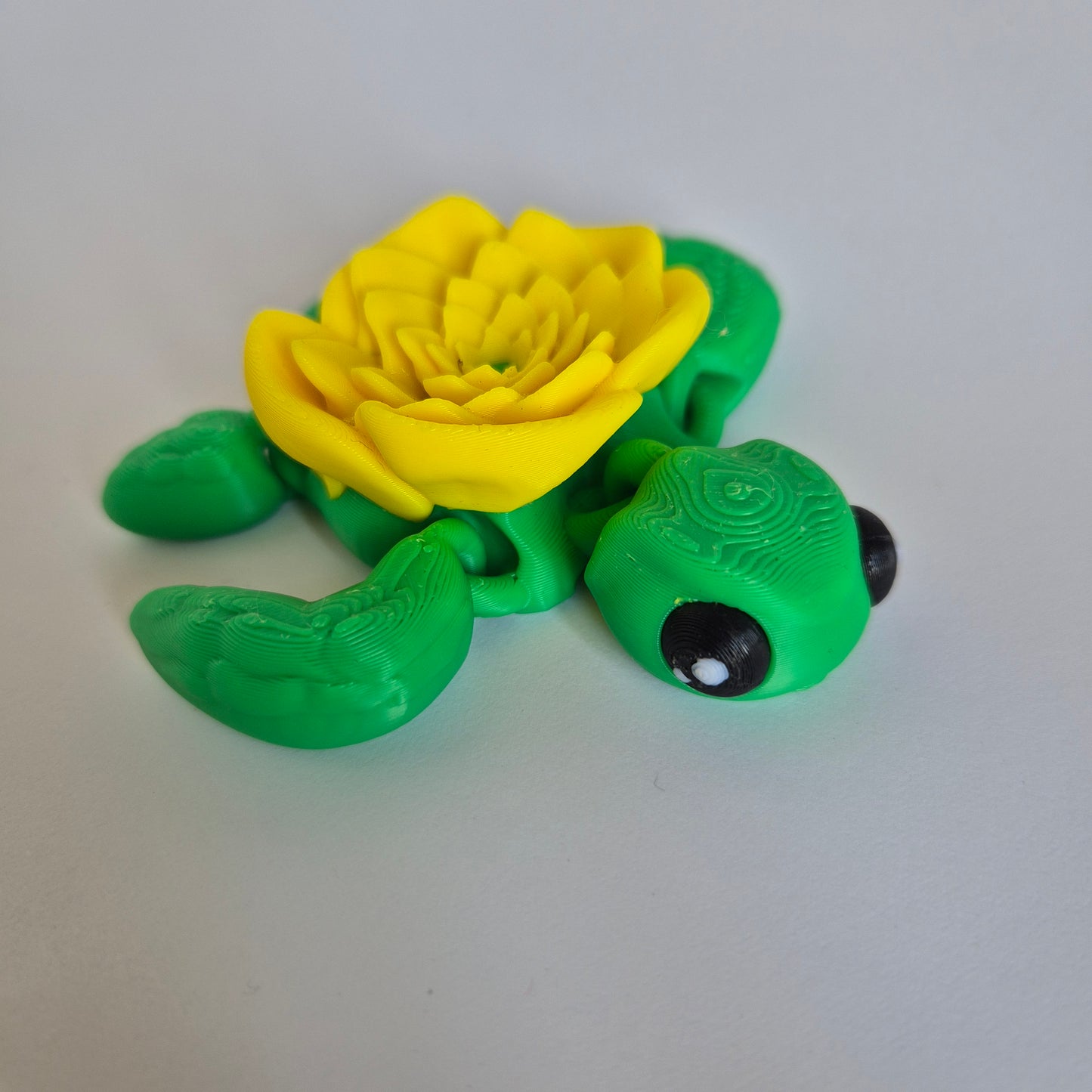 Touta la tortue